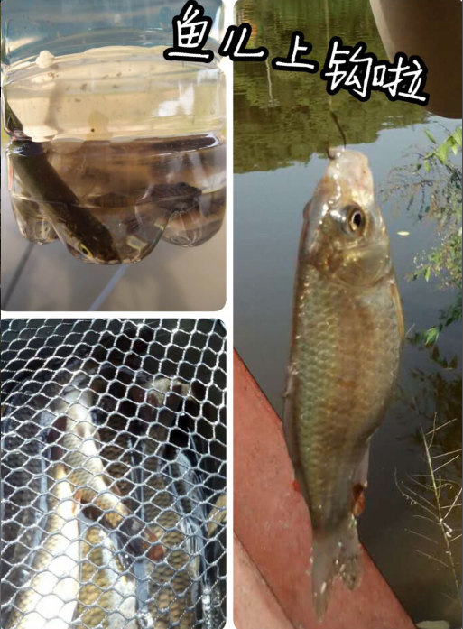 1507888494706990S4IK.png blob.png