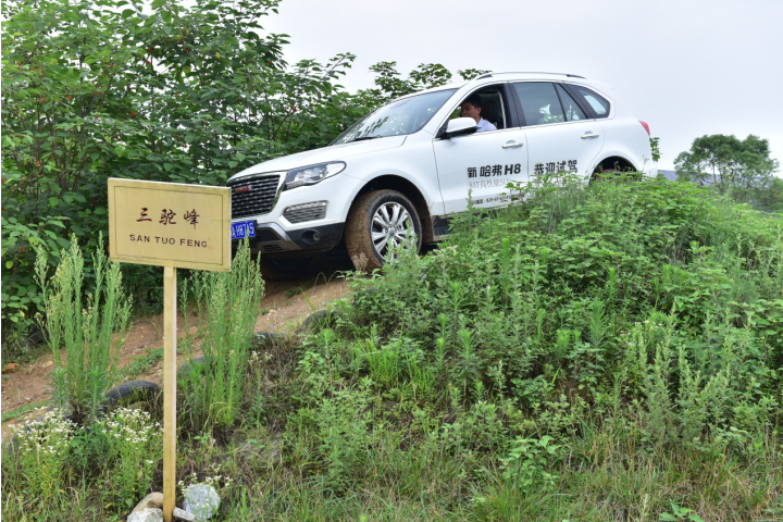 1508137239224371vhX2.png blob.png