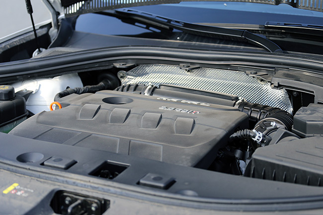 1511169728308603xpMy.jpg 5.jpg