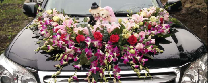 1512028109659089hjRg.png 3.png