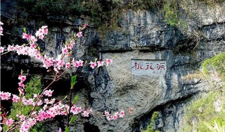 1521613557169255Aldh.jpg 4.jpg