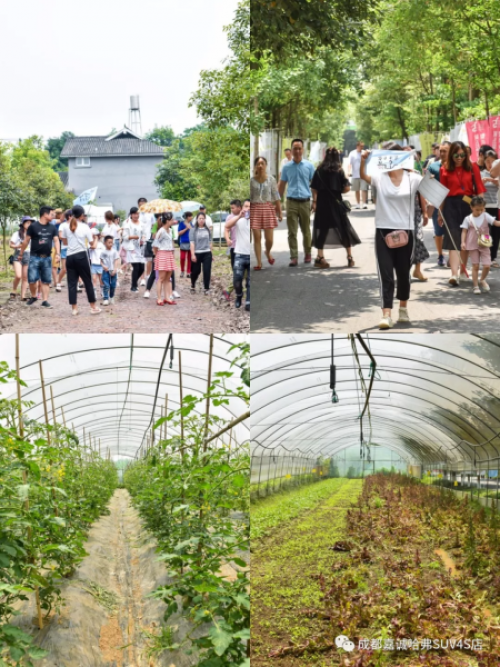 1528949984901046X4YK.png 3.png