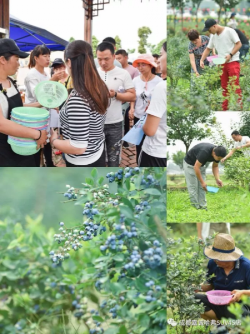 1528950018443555Z5tg.png 5.png