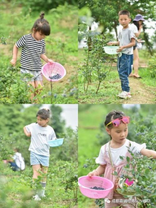 1528950032725322AQQZ.png 6.png