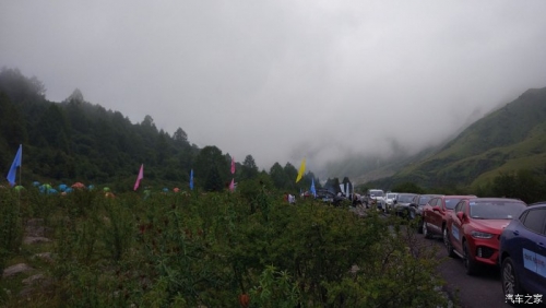 1535530767888850ibFe.jpg 8.jpg