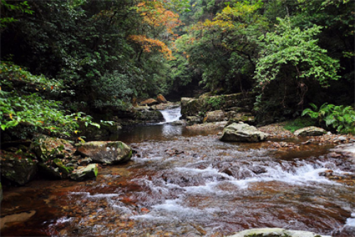 1538122019374586VmDH.png 图片12.png