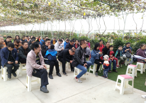 1540883911414506FZX9.png 游戏.png