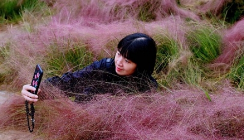 1544684127881128NLEM.jpg 9.jpg