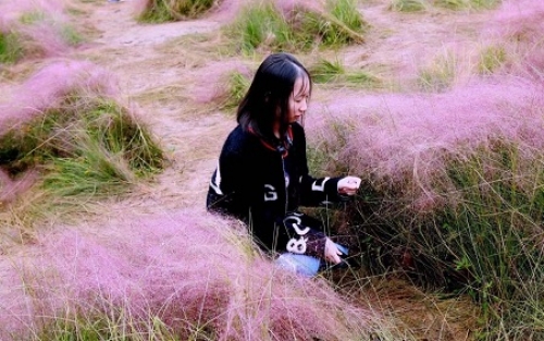 1544684176623344YTFK.jpg 10.jpg