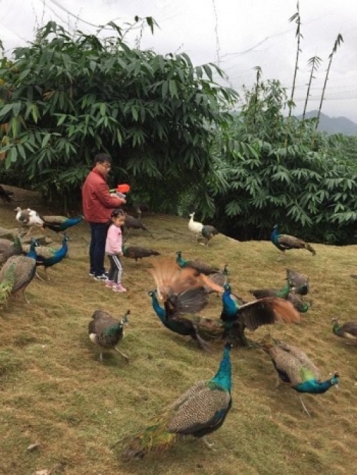 1544684404298801zXv7.jpg 17.jpg