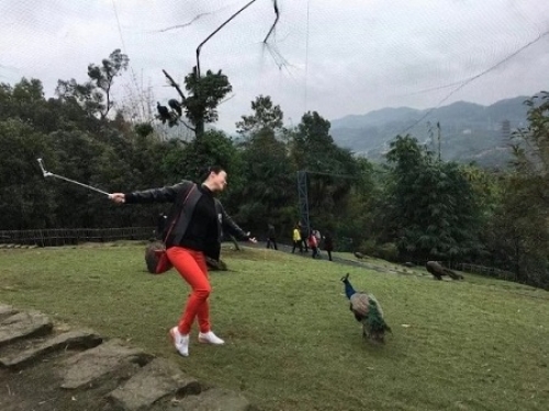 154468444939460156TN.jpg 18.jpg