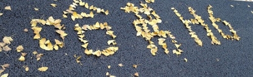 15446845069381920Utg.jpg 20.jpg