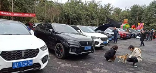 15446925125238828uYn.jpg 2.jpg