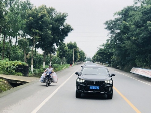 1562306257959739iEMh.jpg 5fd10274eb5ab619ace8eda58461e59.jpg