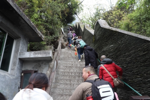 16163967808997190np4.jpg 官网6.jpg