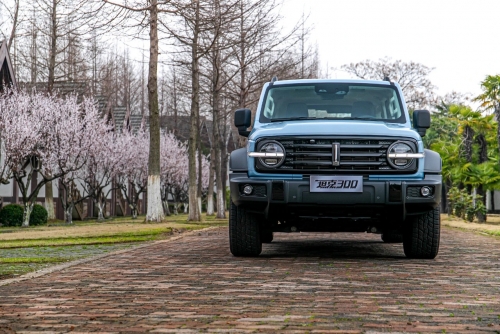 1619243585432242erQB.jpg 2.jpg